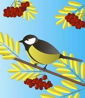 Vector illustration of a totmit sitting on a rowan branch