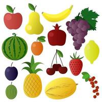 Set of colorful summer fruit vector