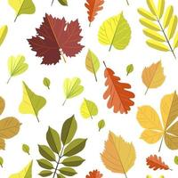 Seamless Pattern with Autumn Leaves vector