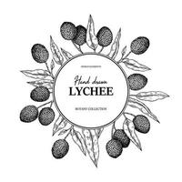 Hand drawn lychee design for packaging, banners, advertising, newsletters. Vector illustration in sketch style