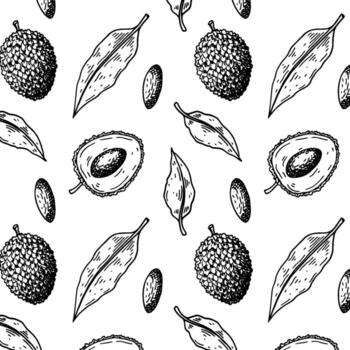 mano dibujada de patrones sin fisuras con frutas y hojas de lichi. ilustración vectorial en estilo de dibujo botánico vector