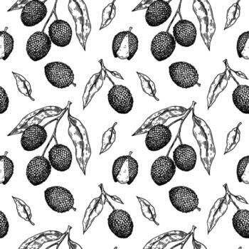 mano dibujada de patrones sin fisuras con frutas, ramas y hojas de lichi. ilustración vectorial en estilo de dibujo botánico vector