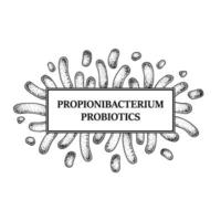 marco de bacterias propionibacterium probiótico dibujado a mano. diseño de envases e información médica. ilustración vectorial en estilo boceto