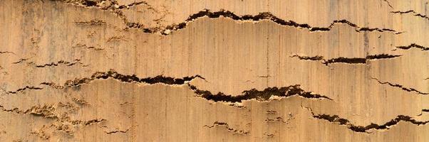 Background texture from the smooth surface of the earth soil photo