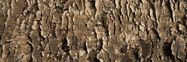 Background texture from the smooth surface of the earth soil