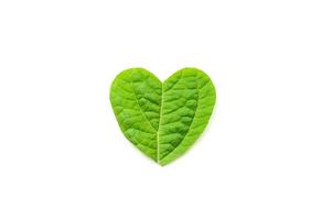 The heart is cut from foliage on white background photo