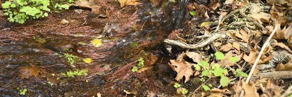 A stream running through the bare roots of trees in a rocky cliff and fallen autumn leaves photo