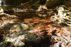 A stream running through the bare roots of trees in a rocky cliff and fallen autumn leaves photo