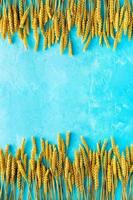 Yellow spikes of wheat on blue background sky mockup