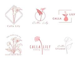 plantilla de logotipo de calla lily. logo botánico y floral. vector