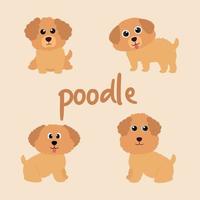 Cute Poodle Dog Set vector
