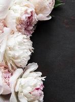 Peony flowers on a black concrete background photo