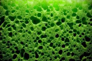 Close up image of a green sponge photo