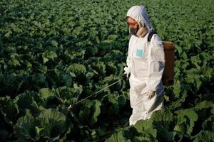 Female gardener in a protective suit and mask spraying plants