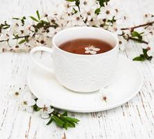 Cup of tea and spring apricot blossoms on a wooden background photo