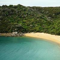 bosque de nueva zelanda y una bahía de playa foto