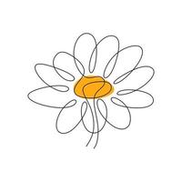 One single line drawing of beauty daisy flower isolated on white background. Beautiful flower concept hand draw design for posters, wall art, tote bag, mobile case, t-shirt print vector