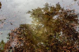 Waterdrop in a puddle photo