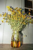 Black-eyed Susans in a vase photo