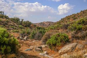 Joshua Tree National Park photo