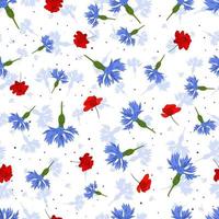 Vector seamless pattern with blue cornflowers and red poppies  on white background.