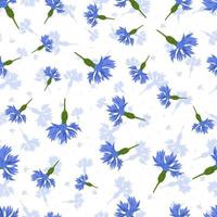 Vector seamless pattern with blue cornflowers on white background.