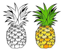 Ilustración de vector de frutas de piña. objeto aislado sobre fondo blanco. estilo doodle. diseño de tela.