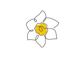 Daffodil flower in yellow color continuous line drawing. Blossoming Narcissus in spring isolated on white background. Garden flower with minimalist design in hand drawn style. Vector illustration