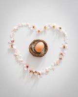 Solo huevo en el nido rodeado de margaritas en forma de corazón sobre fondo blanco.