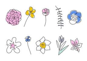 Set of continuous one line drawing of a beautiful flowers in different types such as camellia, tulip, poppy, sakura, azalea, nahonana, nemophilia, shibazakura etc. Vector spring flower illustration