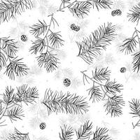 Seamless pine branches and cones. Hand drawn vector illustration isolated on white background. For Christmas decoration, posters, banners, sales and other winter events.