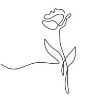 Tulip flower one continuous line art minimalist contour drawing. Spring floral design element isolated on white background. Beautiful blossoming natural flower with leaf. Vector illustration