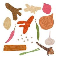 Set of Spices and herbs. Hand drawn ginger, chilli pepper, onion, red onion, garlic, clove, saffron, lemongrass, turmeric. Sketch spices vector collection isolated on white background