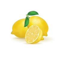 fresh lemon fruit isolated on white background. illustration realistic vector