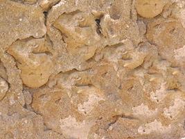 Close-up of stone or rock wall for background or texture