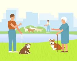 Pembroke Corgi with an elderly lady for a walk in a dog park vector