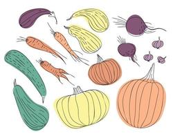 conjunto de verduras de otoño dibujadas en arte lineal vector