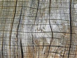 Close-up of wood panel for background or texture