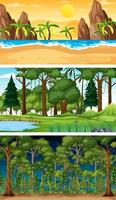 Conjunto de diferentes escenas horizontales del bosque en diferentes momentos. vector