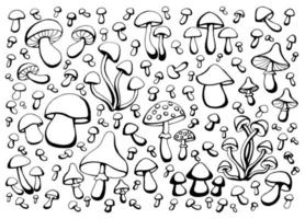 Hand drawn set of mushrooms. Outline drawing. Vector illustration. Black and white.