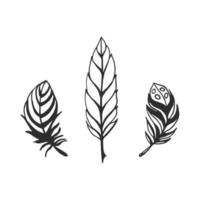 Collection of hand drawn feather, vector Ink illustration isolated on white background.