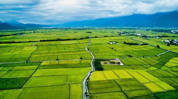 taiwán 2018- vista aérea del campo taitung foto