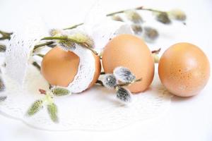 Easter eggs with willow branch photo