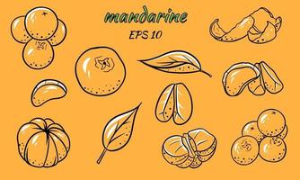 Set of vector illustrations of tangerines.