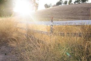 sol brillando a través de una valla en california foto