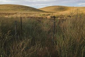 California rural hills photo