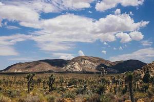 montañas en el parque nacional joshua tree foto