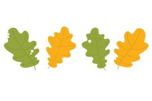 Autumn leaves set, isolated on white background vector