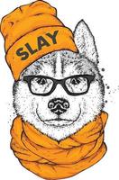 Hipster dog in a cap and glasses. vector