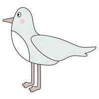 A cute seabird, a seagull. Vector. Hand drawing, decorative color vector
